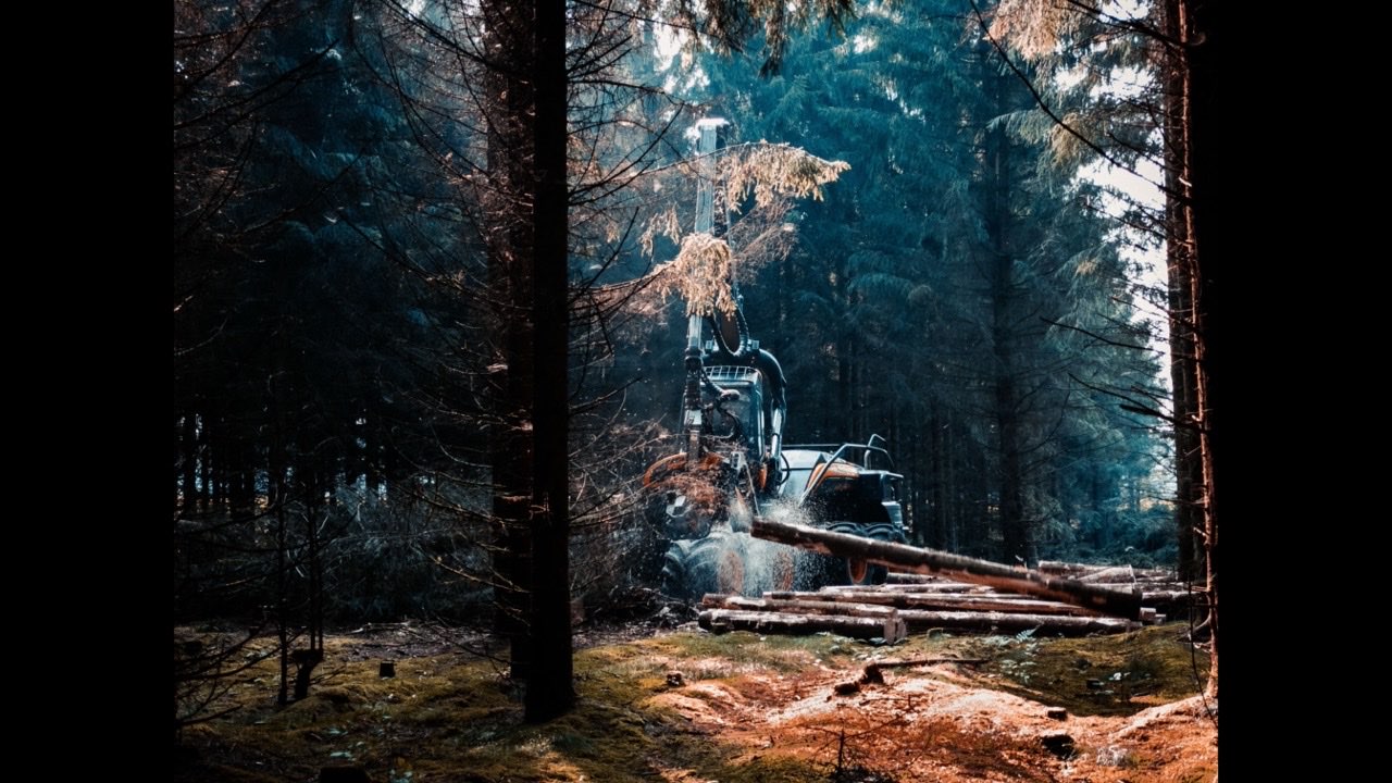 How Logging Operations Manage Feller Buncher Parts Inventory Across Multiple Machines